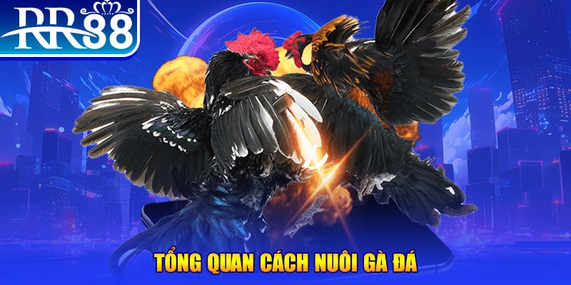868vip1 game nổ hũ rút tiền mặt là gì