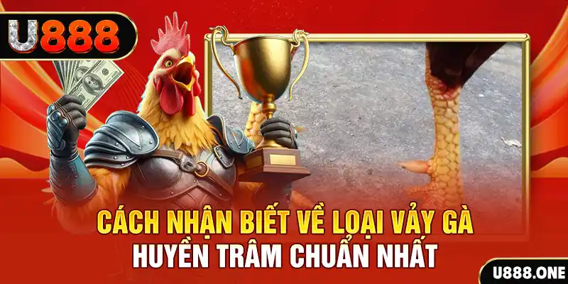 868vip1 đăng nhập nổ hũ số 1