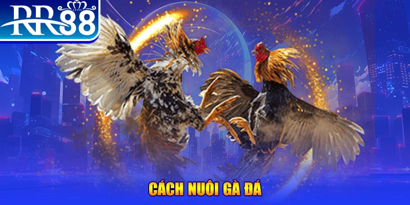 868vip1 đăng nhập phỏm đổi thưởng