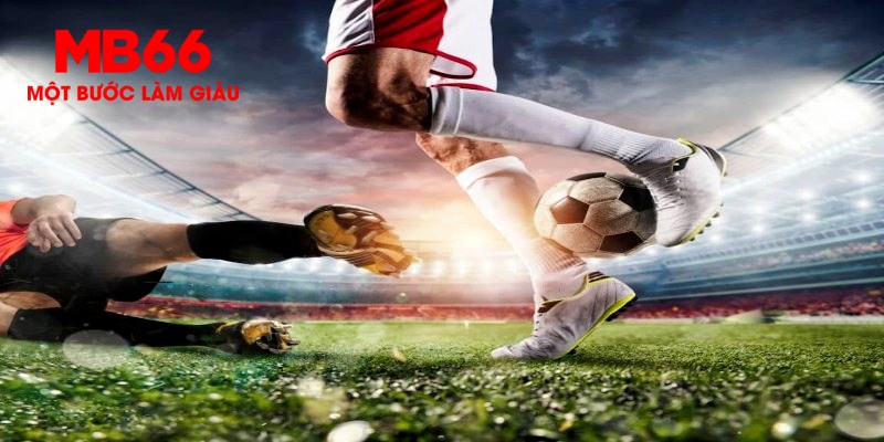 868vip1 trực tiếp đá gà thomo