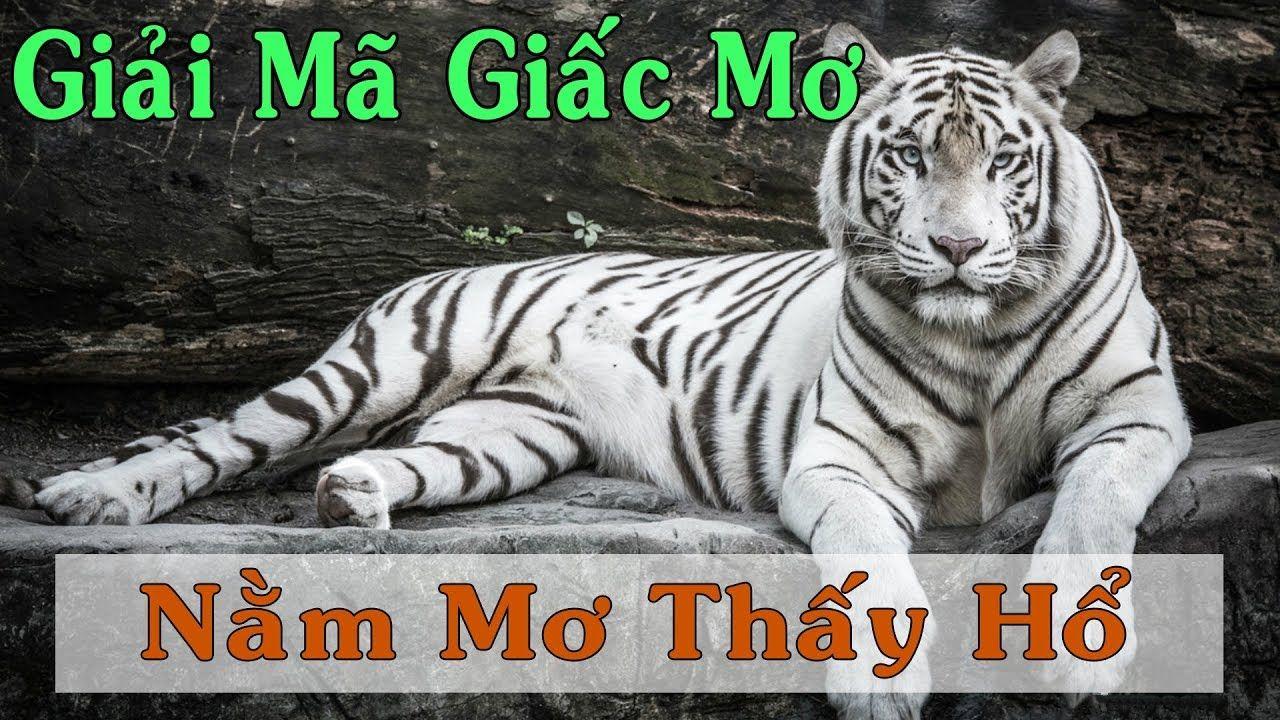 868vip1 nổ hũ là game gì
