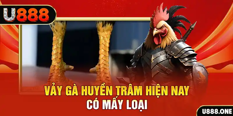 868vip1 xổ số bình định