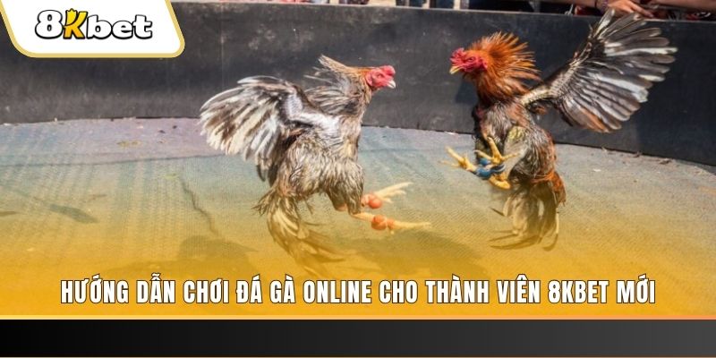 868vip1 JILI Game Bài 3d