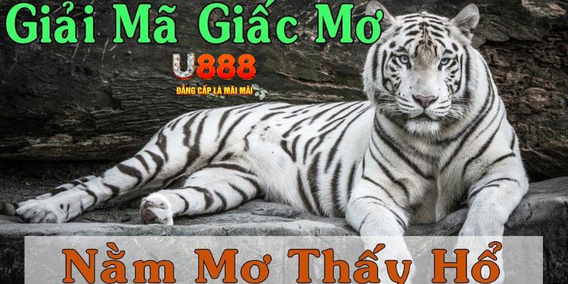 868vip1 xổ số miền bắc xổ số miền bắc