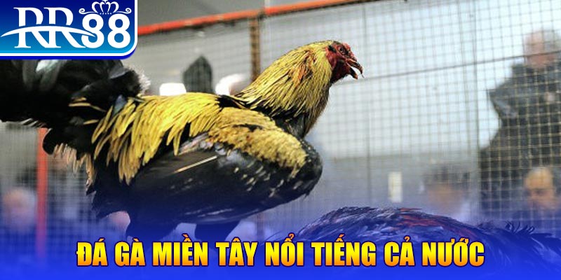 868vip1 xổ số đại phát