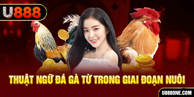 868vip1 xổ số miền bắc 90 ngày