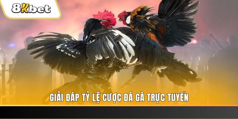 868vip1 ga choi cau thanh