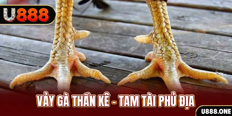 868vip1 xổ số miền trung thứ hai hàng tuần