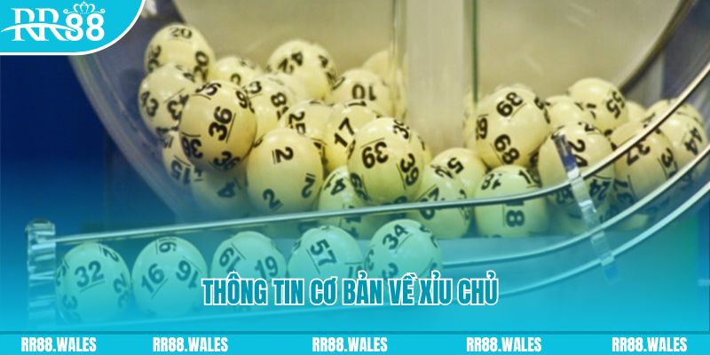 868vip1 how to win at slot machines