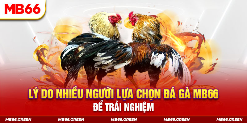 868vip1 đăng nhập liêng trực tiếp