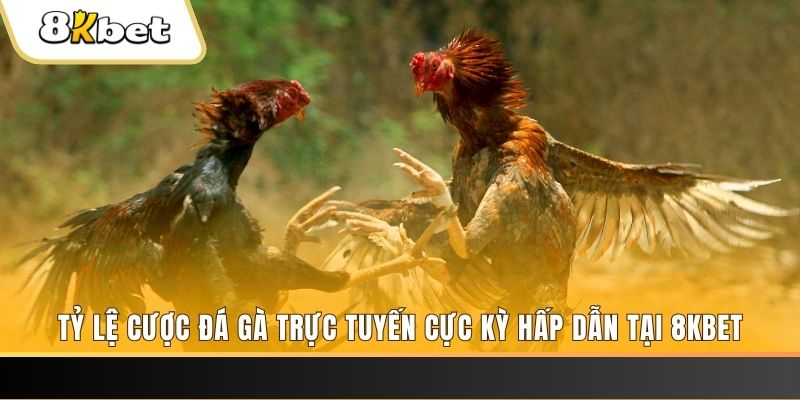868vip1 đăng nhập nổ hũ trực tuyến