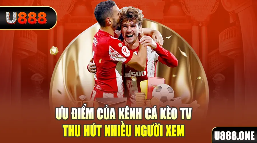 868vip1 gà chọi cu cần