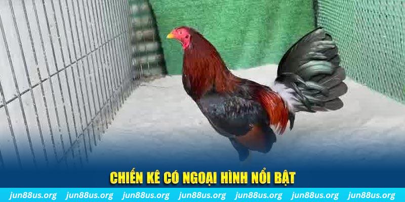 868vip1 game bắn cá