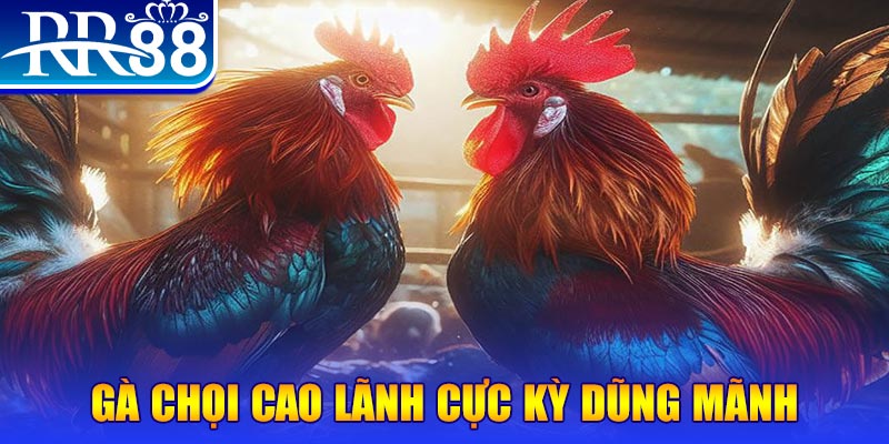 868vip1 HB Điện Tử